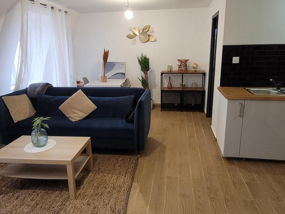 Coquet Appartement A 15Mn De Paris Et 10 Mn De Stade De France, Wifi, Netflix, Groslay المظهر الخارجي الصورة